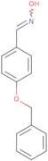 N-{[4-(Benzyloxy)phenyl]methylidene}hydroxylamine