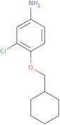 3-Chloro-4-(cyclohexylmethoxy)aniline