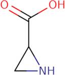 (R)-Aziridine-2-carboxylic acid