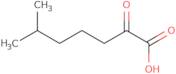 6-Methyl-2-oxoheptanoic acid