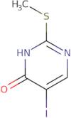 5-Iodo-2-(Methylthio)-4(3H)-Pyrimidinone