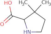 (S)-3,3-Dimethylpyrrolidine-2-carboxylic acid