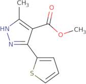 Methyl 5-methyl-3-(thiophen-2-yl)-1H-pyrazole-4-carboxylate