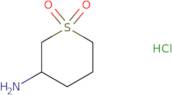 3-amino-1-thiane-1,1-dione hydrochloride