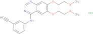 Erlotinib hydrochloride - Bio-X ™