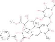 Yadanzioside M