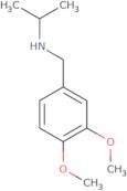 N-[(3,4-Dimethoxyphenyl)methyl]propan-2-amine