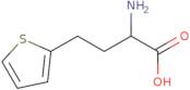 2-Amino-4-(thiophen-2-yl)butanoic acid