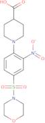 1-[4-(Morpholine-4-sulfonyl)-2-nitrophenyl]piperidine-4-carboxylic acid