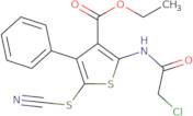 Ethyl 2-(2-chloroacetamido)-5-(cyanosulfanyl)-4-phenylthiophene-3-carboxylate