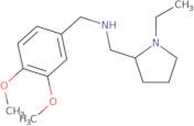 (3,4-Dimethoxy-benzyl)-(1-ethyl-pyrrolidin-2-ylmethyl)-amine