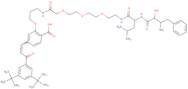 Protac rar degrader-1