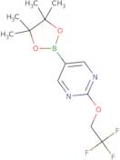 2-(2,2,2-trifluoroethoxy)pyrimidine-5-boronic acid pinacol ester