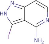 3-Iodo-1H-pyrazolo[4,3-c]pyridin-4-amine