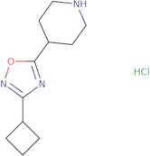 4-(3-Cyclobutyl-1,2,4-oxadiazol-5-yl)piperidine hydrochloride