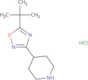 5-tert-Butyl-3-(piperidin-4-yl)-1,2,4-oxadiazole hydrochloride