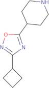 4-(3-Cyclobutyl-1,2,4-oxadiazol-5-yl)piperidine
