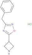 5-Azetidin-3-yl-3-benzyl-1,2,4-oxadiazole hydrochloride