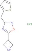 5-Azetidin-3-yl-3-(2-thienylmethyl)-1,2,4-oxadiazole hydrochloride