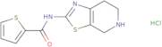 N-(4,5,6,7-Tetrahydro[1,3]thiazolo[5,4-c]pyridin-2-yl)thiophene-2-carboxamide hydrochloride