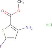 Methyl 3-amino-5-iodothiophene-2-carboxylate hydrochloride