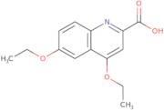 4,6-Diethoxyquinoline-2-carboxylic acid