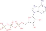 L-Carnitine-d9