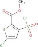 methyl 5-chloro-3-(chlorosulfonyl)thiophene-2-carboxylate