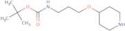 tert-Butyl N-[3-(piperidin-4-yloxy)propyl]carbamate