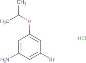 3-Bromo-5-(propan-2-yloxy)aniline hydrochloride