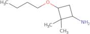 3-Butoxy-2,2-dimethylcyclobutan-1-amine
