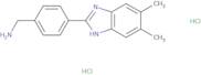 [4-(5,6-Dimethyl-1H-1,3-benzodiazol-2-yl)phenyl]methanamine dihydrochloride