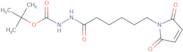 6-Maleimidocaproic tert-butylcarbazate