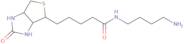 N-(4-Aminobutyl)biotinamide