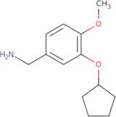 [3-(Cyclopentyloxy)-4-methoxyphenyl]methanamine