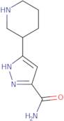 3-(Piperidin-3-yl)-1H-pyrazole-5-carboxamide