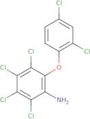 (S)-3-[((R)-2-Amino-3-methyl-butyryl)-ethyl-amino]-piperidine-1-carboxylic acid benzyl ester