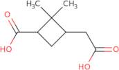 (S)-3-[((S)-2-Amino-3-methyl-butyryl)-methyl-amino]-pyrrolidine-1-carboxylic acid benzyl ester