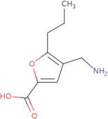 4-(Aminomethyl)-5-propylfuran-2-carboxylic acid