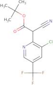 tert-Butyl 2-[3-chloro-5-(trifluoromethyl)pyridin-2-yl]-2-cyanoacetate