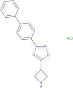 5-Azetidin-3-yl-3-biphenyl-4-yl-1,2,4-oxadiazole hydrochloride