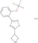 5-Azetidin-3-yl-3-[2-(trifluoromethoxy)phenyl]-1,2,4-oxadiazole hydrochloride