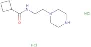 N-(2-Piperazin-1-ylethyl)cyclobutanecarboxamide dihydrochloride