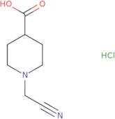 1-(Cyanomethyl)piperidine-4-carboxylic acid hydrochloride