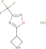 5-(Azetidin-3-yl)-3-(trifluoromethyl)-1,2,4-oxadiazole hydrochloride
