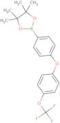 4,4,5,5-Tetramethyl-2-(4-[4-(Trifluoromethoxy)Phenoxy]Phenyl)-1,3,2-Dioxaborolane