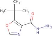 5-tert-Butyl-1,3-oxazole-4-carbohydrazide