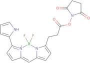 Py-bodipy-NHS ester