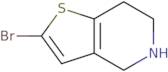 2-Bromo-4,5,6,7-tetrahydrothieno[3,2-c]pyridine