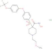 SD 2590 hydrochloride